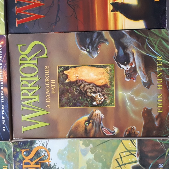 Warrior Cats The Prophecy Begins 1 to 6 - Picture 6 of 7